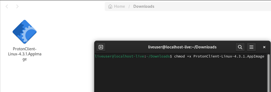 Terminal Linux com o comando 'chmod +x' no arquivo do Proton Client